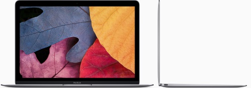 Ноутбук Apple MacBook Space Gray MLH72RU/A